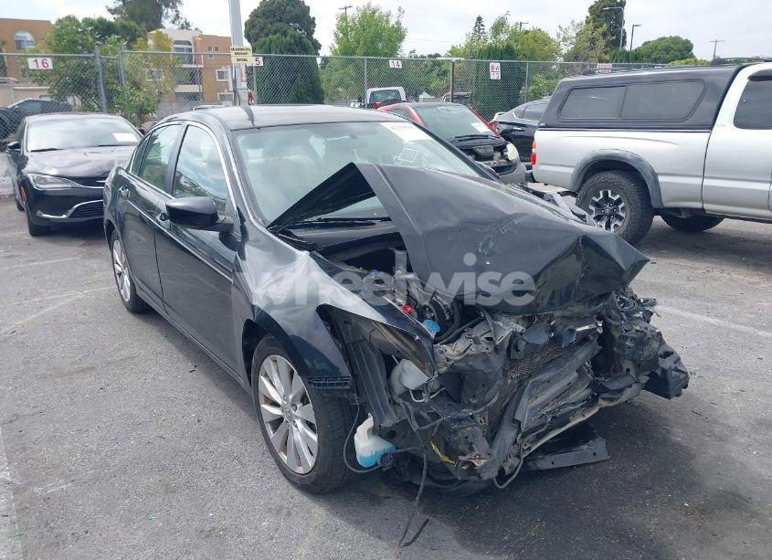 2011 Honda Accord 2.4 LX (VIN 1HGCP2F37BA071880) main photo