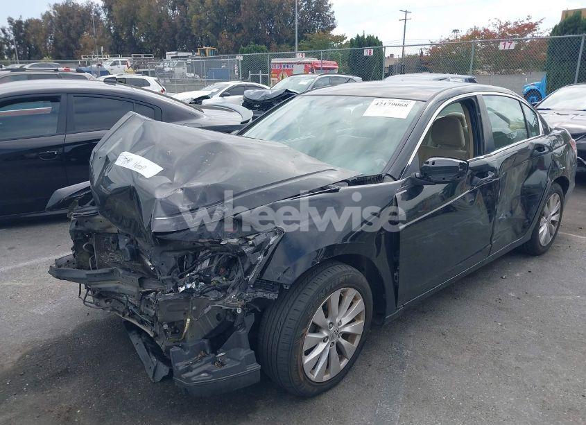 Photo 2 of 2011 Honda Accord 2.4 LX (VIN 1HGCP2F37BA071880)