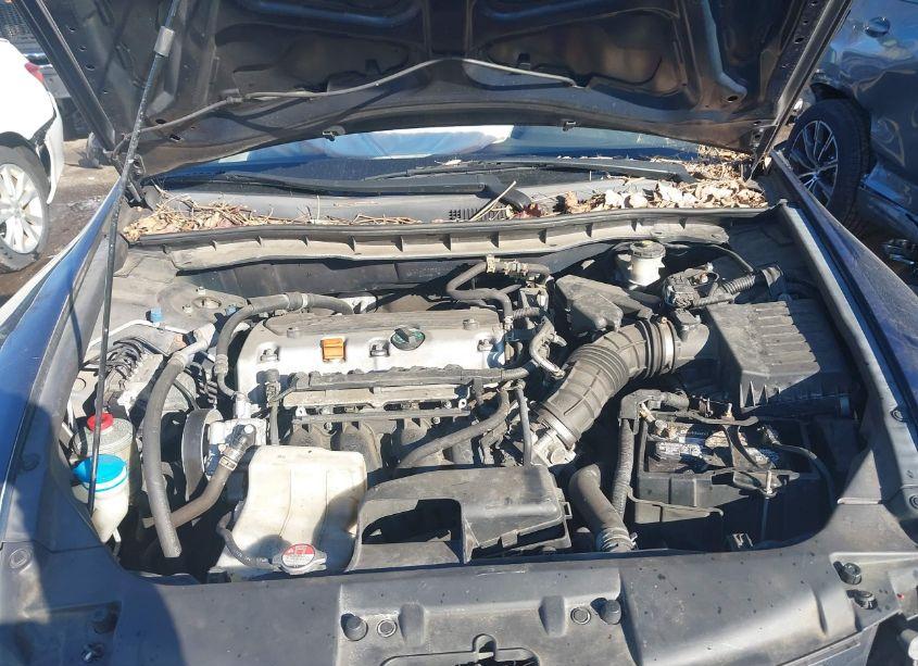 Photo 10 of 2010 Honda Accord 2.4 LX (VIN 1HGCP2F38AA018488)