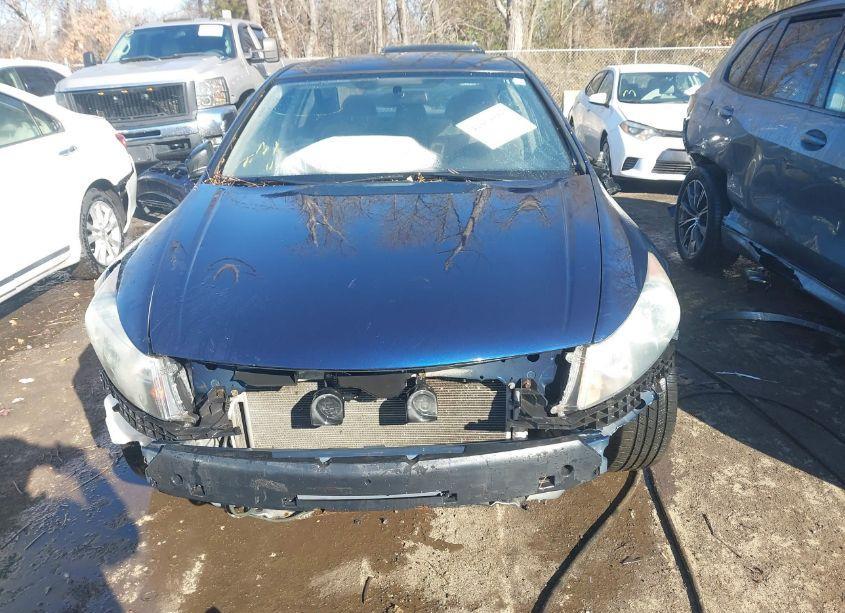 Photo 13 of 2010 Honda Accord 2.4 LX (VIN 1HGCP2F38AA018488)