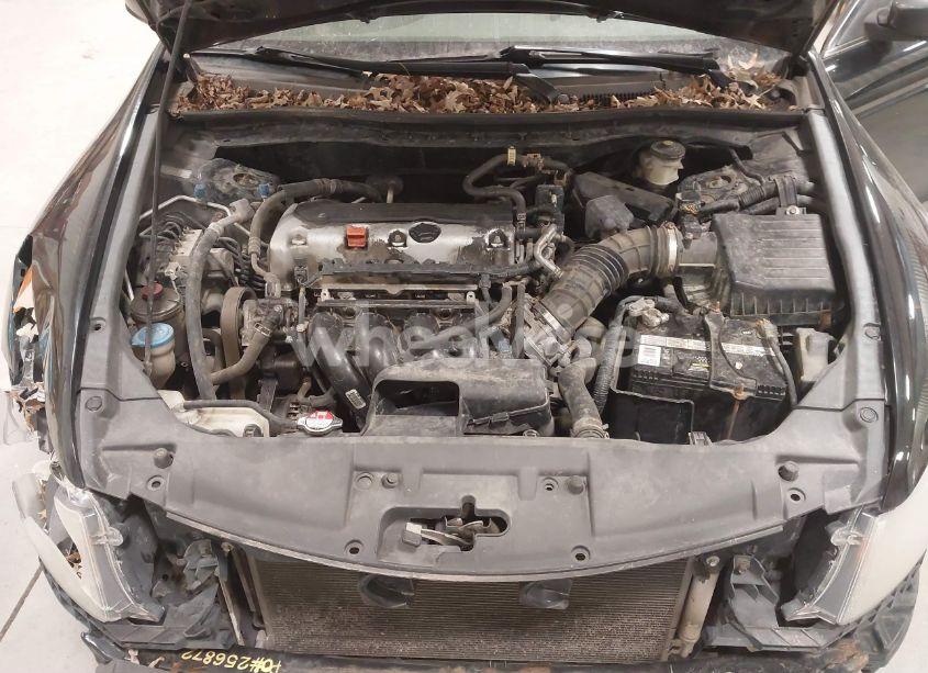 Photo 10 of 2010 Honda Accord 2.4 LX (VIN 1HGCP2F38AA025117)
