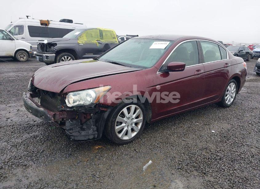 Photo 2 of 2010 Honda Accord 2.4 LX (VIN 1HGCP2F3XAA020064)