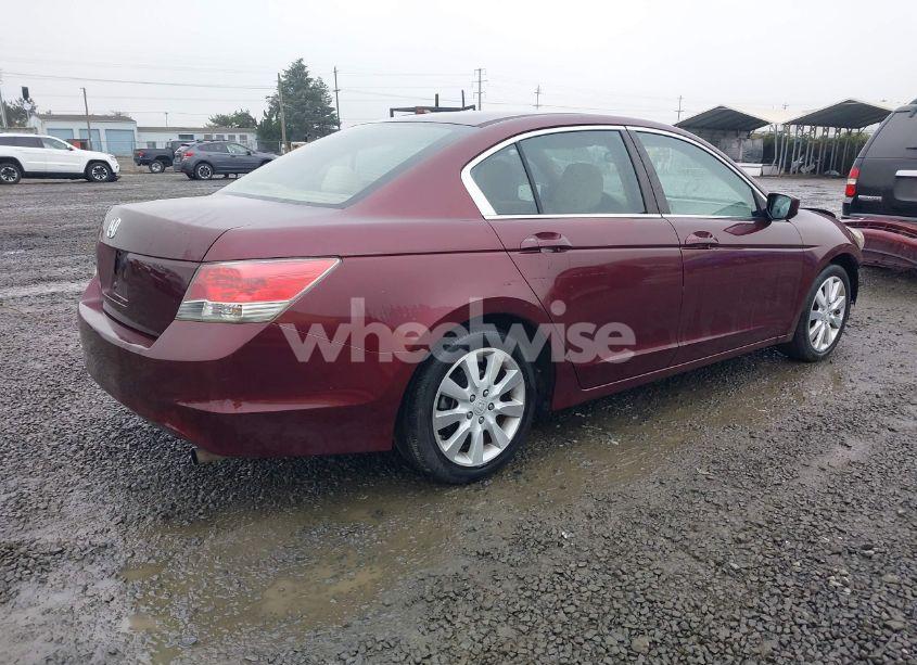 Photo 4 of 2010 Honda Accord 2.4 LX (VIN 1HGCP2F3XAA020064)