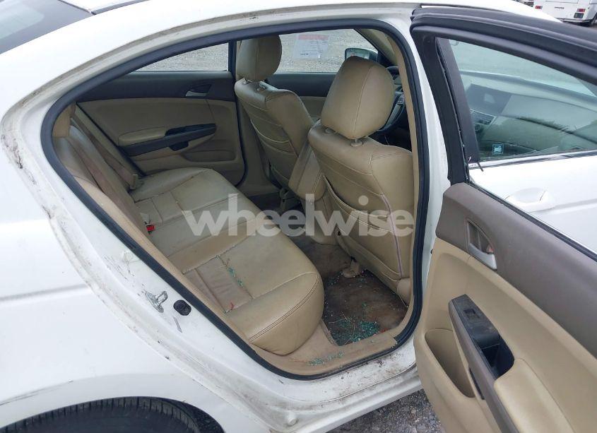 Photo 8 of 2010 Honda Accord 2.4 LX (VIN 1HGCP2F3XAA159966)