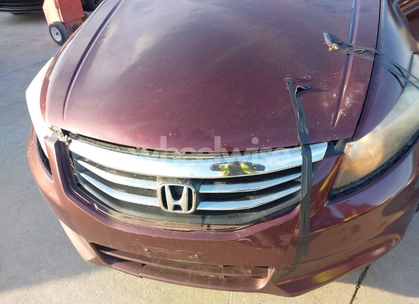 Photo 10 of 2011 Honda Accord 2.4 LX (VIN 1HGCP2F3XBA051185)