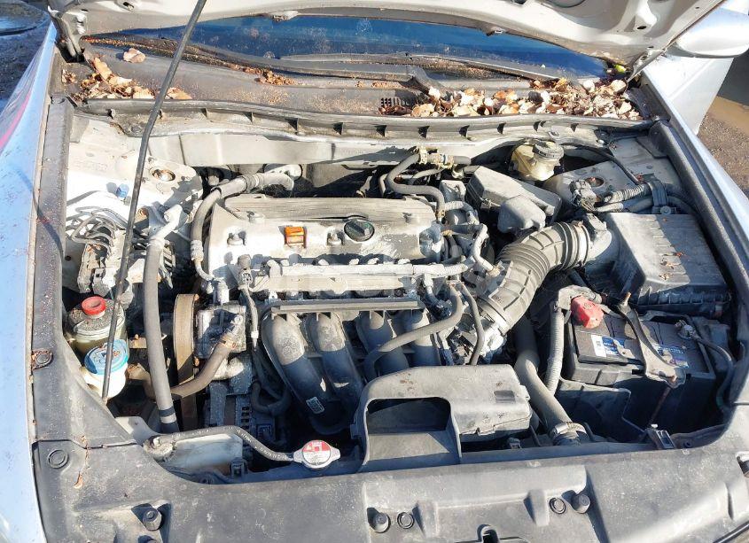 Photo 10 of 2010 Honda Accord 2.4 LX-P (VIN 1HGCP2F40AA187820)