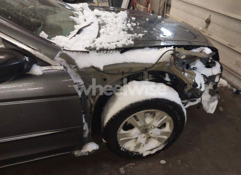 Photo 18 of 2010 Honda Accord 2.4 LX-P (VIN 1HGCP2F41AA014016)