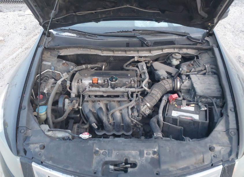 Photo 10 of 2010 Honda Accord 2.4 LX-P (VIN 1HGCP2F41AA173375)