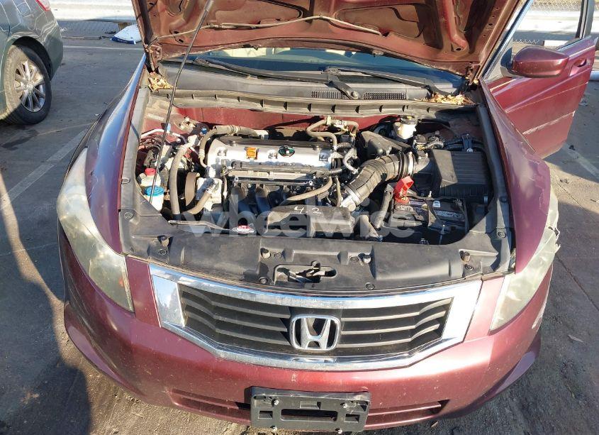 Photo 10 of 2010 Honda Accord 2.4 LX-P (VIN 1HGCP2F42AA113024)