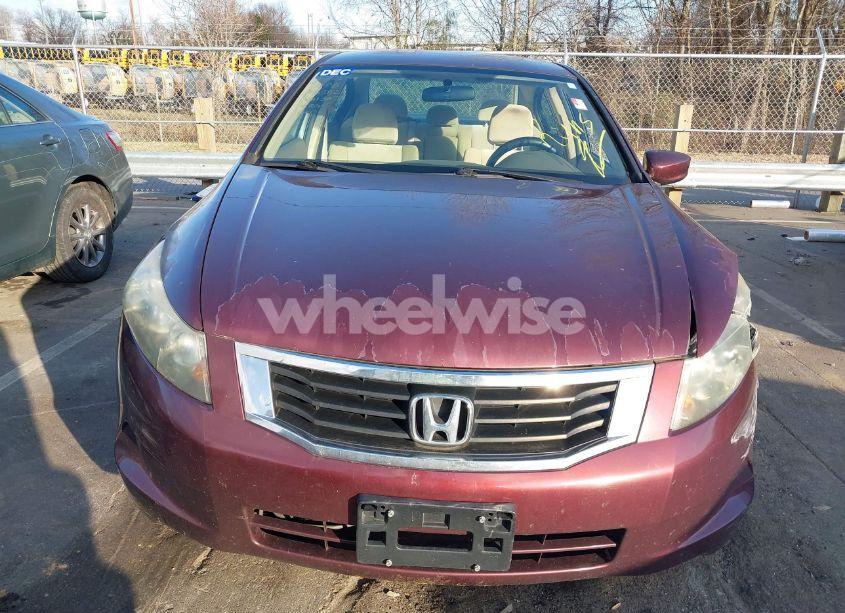 Photo 12 of 2010 Honda Accord 2.4 LX-P (VIN 1HGCP2F42AA113024)