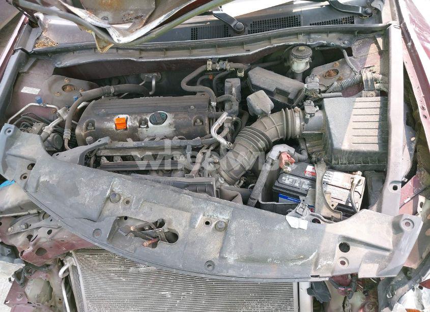 Photo 10 of 2010 Honda Accord 2.4 LX-P (VIN 1HGCP2F42AA174048)