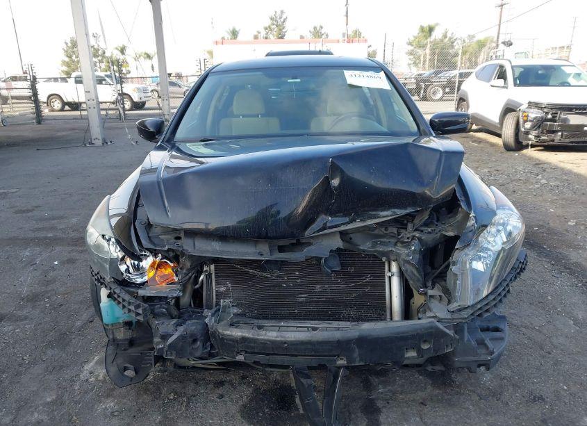 Photo 12 of 2010 Honda Accord 2.4 LX-P (VIN 1HGCP2F43AA110729)