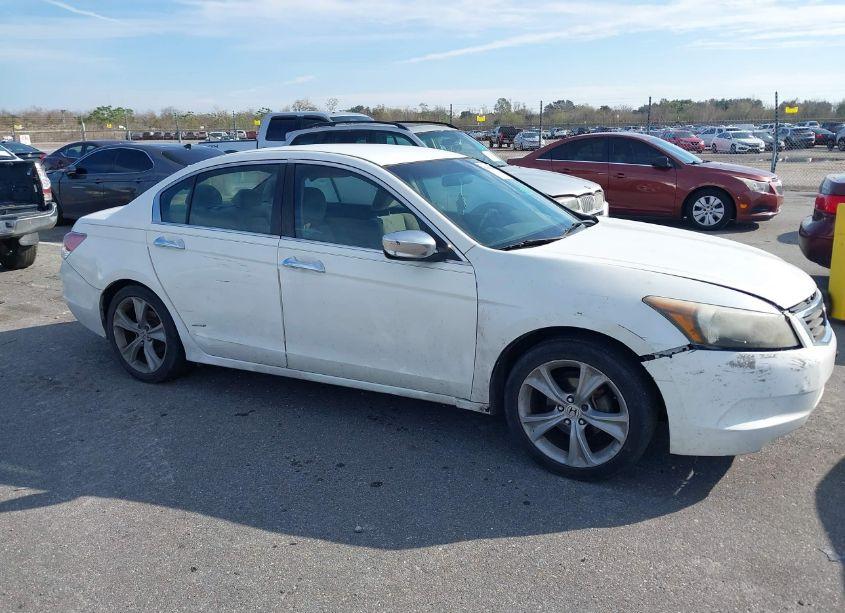 Photo 13 of 2010 Honda Accord 2.4 LX-P (VIN 1HGCP2F43AA180408)