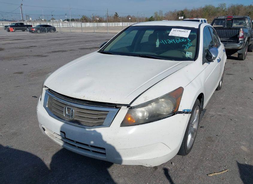 Photo 6 of 2010 Honda Accord 2.4 LX-P (VIN 1HGCP2F43AA180408)