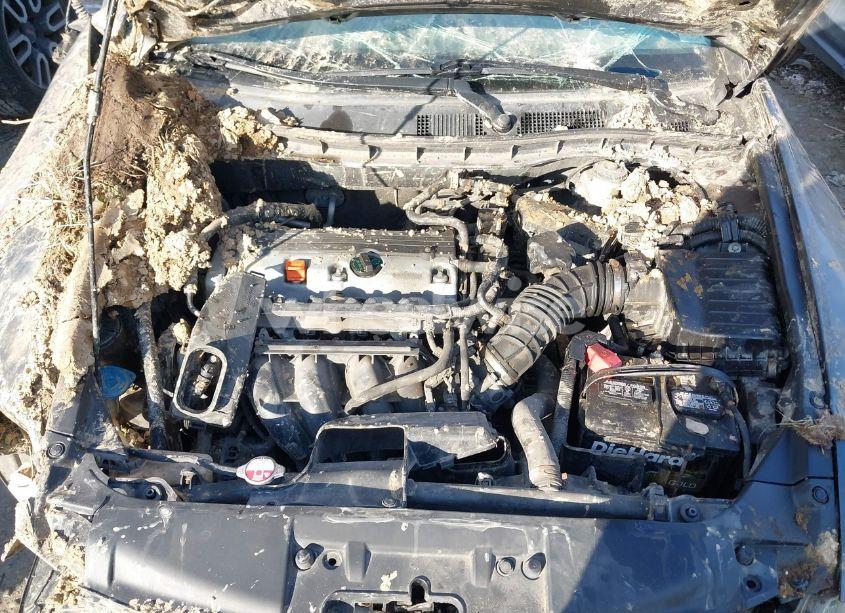 Photo 10 of 2010 Honda Accord 2.4 LX-P (VIN 1HGCP2F45AA102499)