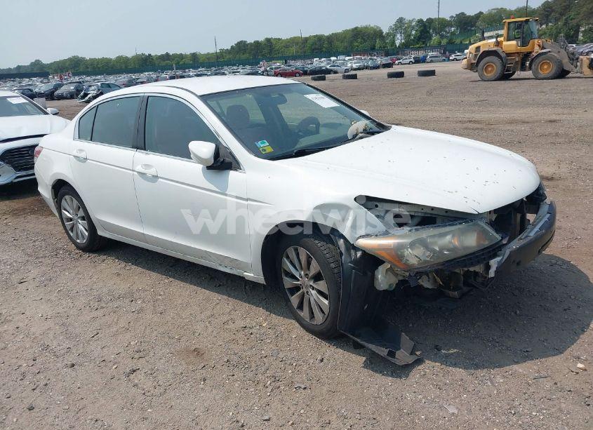 2010 Honda Accord 2.4 LX-P (VIN 1HGCP2F46AA178300) main photo