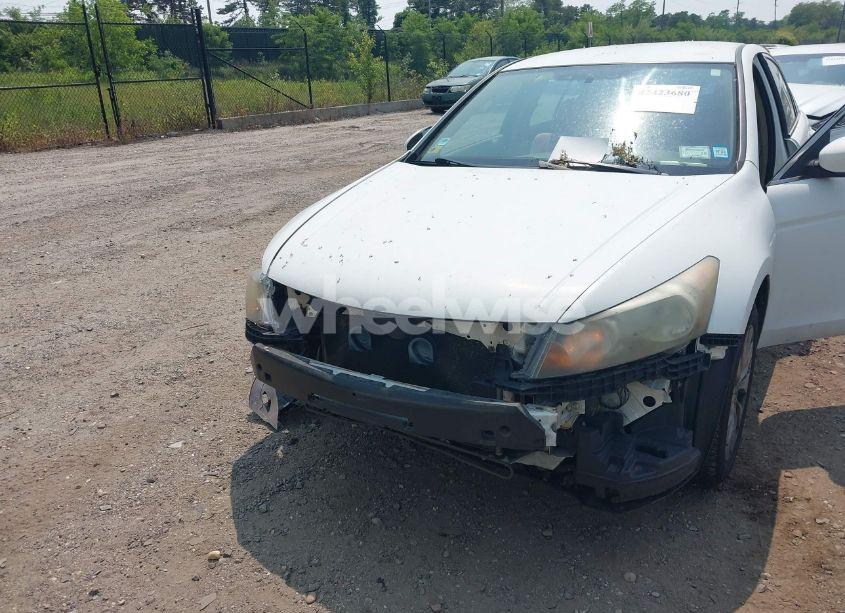 Photo 6 of 2010 Honda Accord 2.4 LX-P (VIN 1HGCP2F46AA178300)