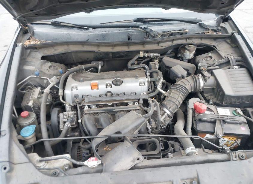 Photo 10 of 2010 Honda Accord 2.4 LX-P (VIN 1HGCP2F47AA099413)