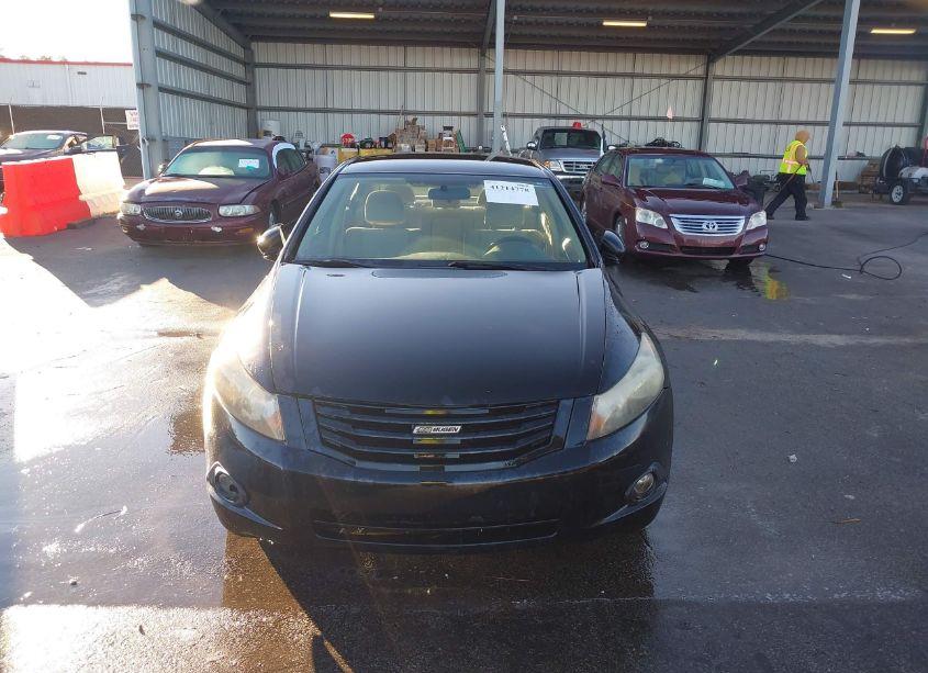 Photo 12 of 2010 Honda Accord 2.4 LX-P (VIN 1HGCP2F47AA146293)