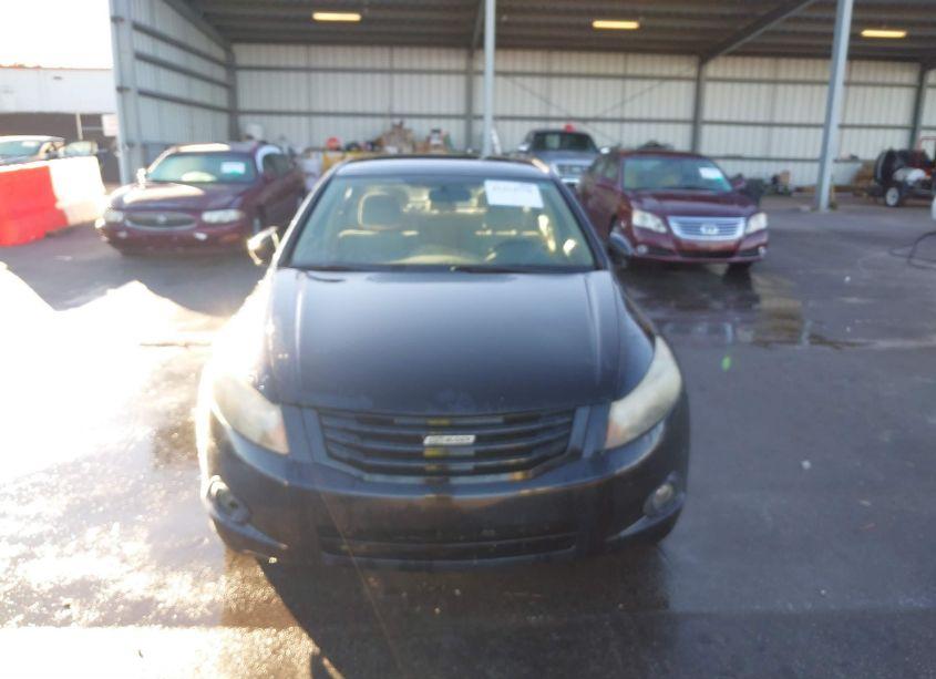 Photo 6 of 2010 Honda Accord 2.4 LX-P (VIN 1HGCP2F47AA146293)