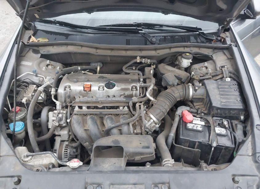 Photo 10 of 2010 Honda Accord 2.4 LX-P (VIN 1HGCP2F48AA124643)