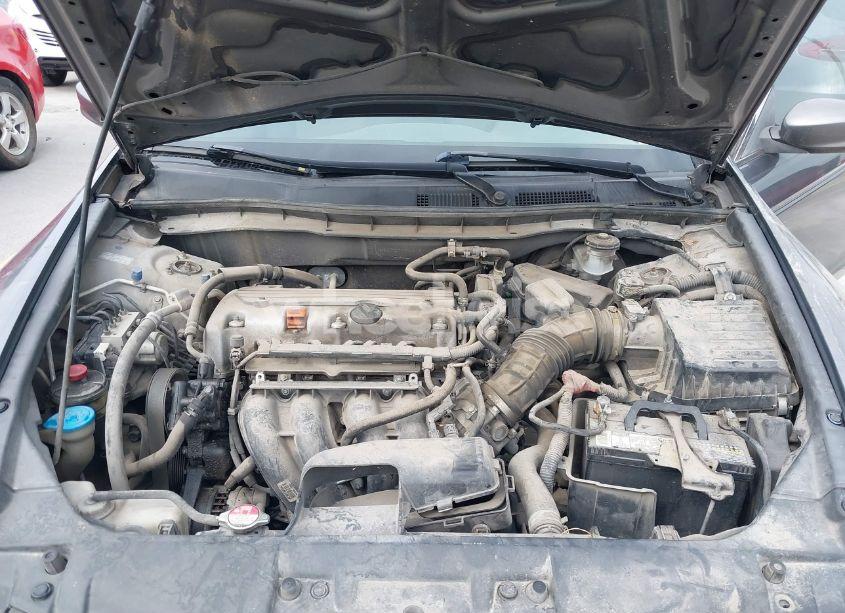 Photo 10 of 2010 Honda Accord 2.4 LX-P (VIN 1HGCP2F49AA164407)