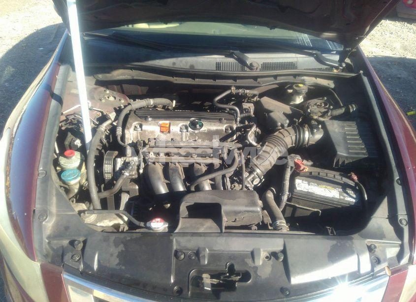 Photo 10 of 2010 Honda Accord 2.4 LX-P (VIN 1HGCP2F49AA174158)