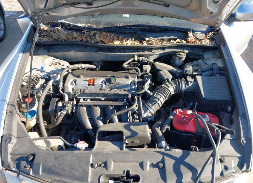 Photo 10 of 2010 Honda Accord 2.4 LX-P (VIN 1HGCP2F49AA188500)