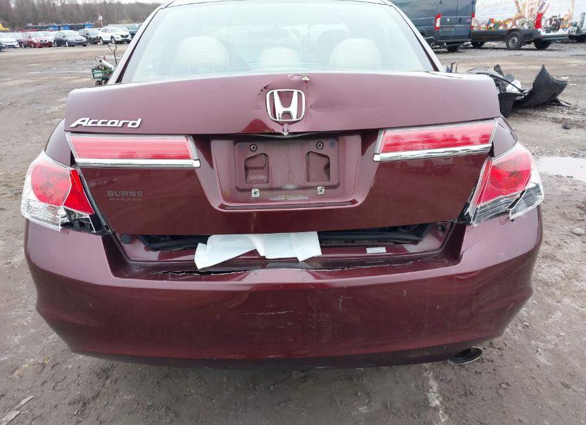 Photo 6 of 2011 Honda Accord 2.4 LX-P (VIN 1HGCP2F49BA097406)