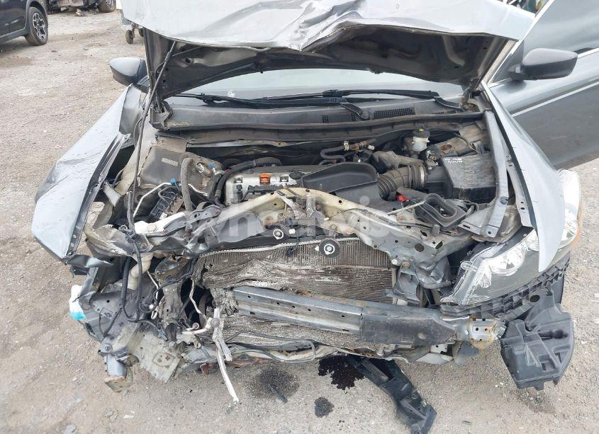 Photo 10 of 2010 Honda Accord 2.4 LX-P (VIN 1HGCP2F4XAA042882)