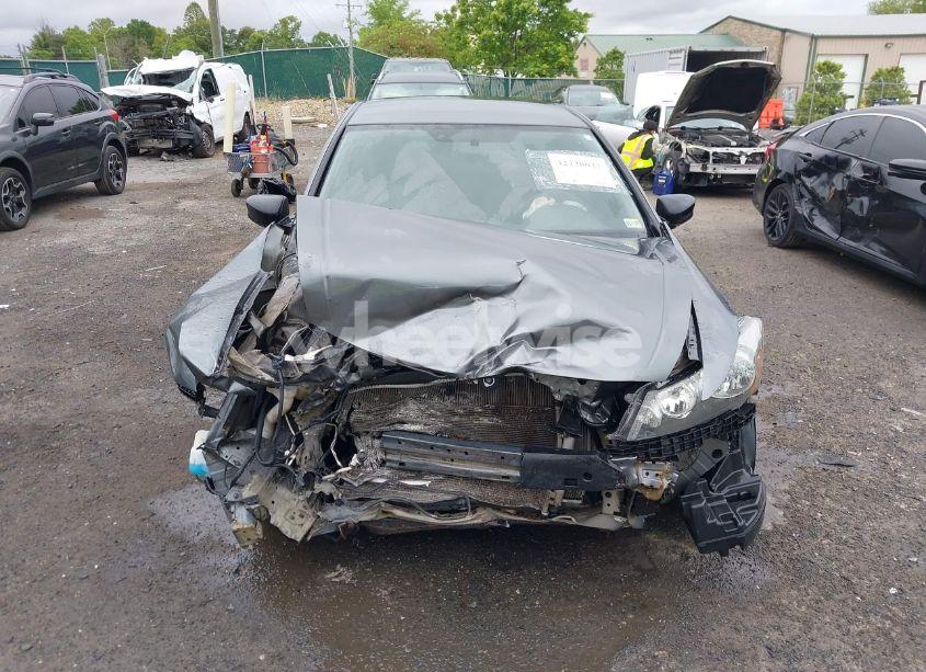 Photo 13 of 2010 Honda Accord 2.4 LX-P (VIN 1HGCP2F4XAA042882)