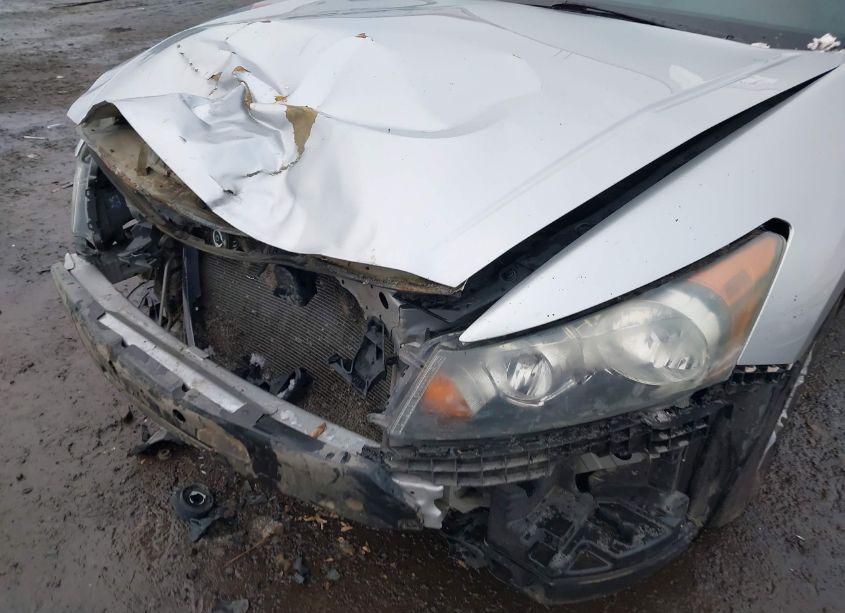 Photo 6 of 2011 Honda Accord 2.4 SE (VIN 1HGCP2F60BA000238)