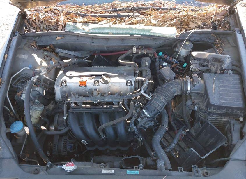 Photo 10 of 2011 Honda Accord 2.4 SE (VIN 1HGCP2F60BA002670)