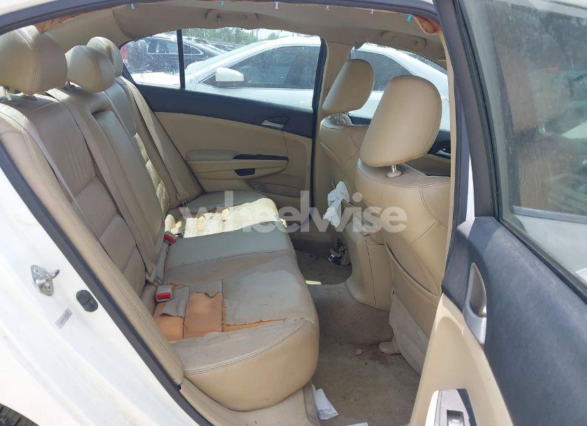 Photo 8 of 2011 Honda Accord 2.4 SE (VIN 1HGCP2F60BA048578)