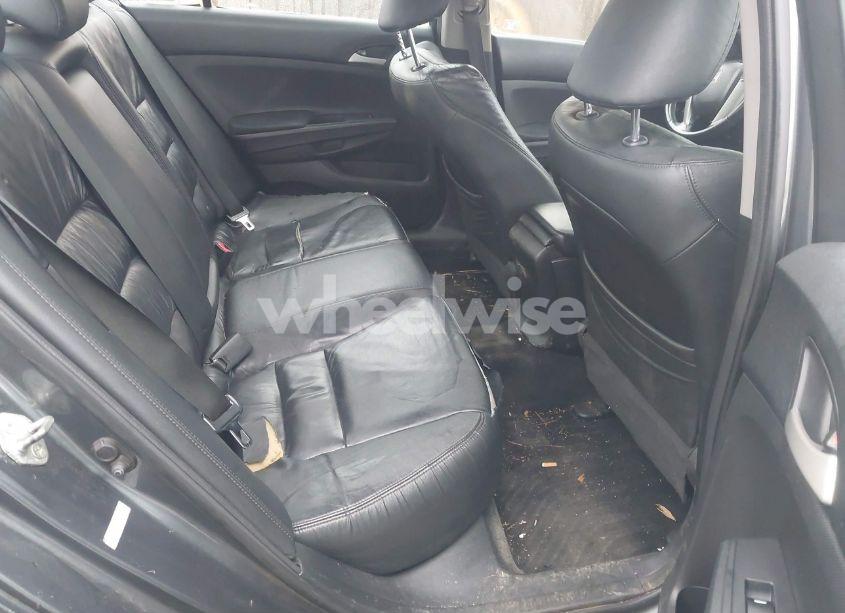 Photo 8 of 2011 Honda Accord 2.4 SE (VIN 1HGCP2F60BA119097)