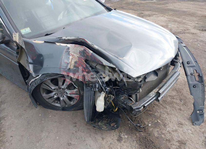 Photo 6 of 2011 Honda Accord 2.4 SE (VIN 1HGCP2F60BA144629)