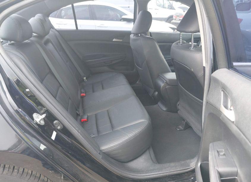 Photo 8 of 2012 Honda Accord 2.4 SE (VIN 1HGCP2F60CA049053)