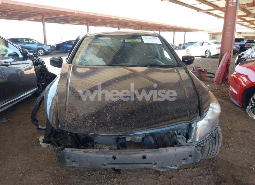 Photo 13 of 2011 Honda Accord 2.4 SE (VIN 1HGCP2F61BA113499)