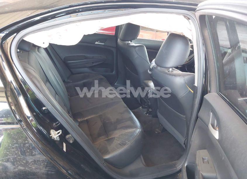 Photo 8 of 2011 Honda Accord 2.4 SE (VIN 1HGCP2F61BA113499)