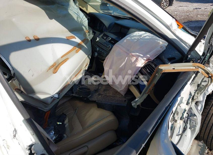 Photo 5 of 2011 Honda Accord 2.4 SE (VIN 1HGCP2F62BA029918)