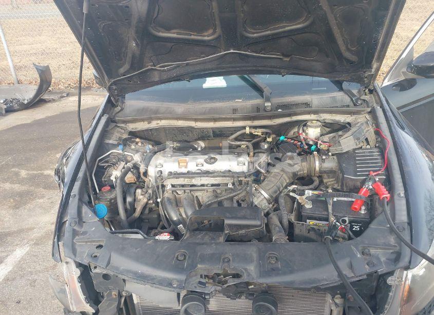 Photo 10 of 2011 Honda Accord 2.4 SE (VIN 1HGCP2F62BA077841)