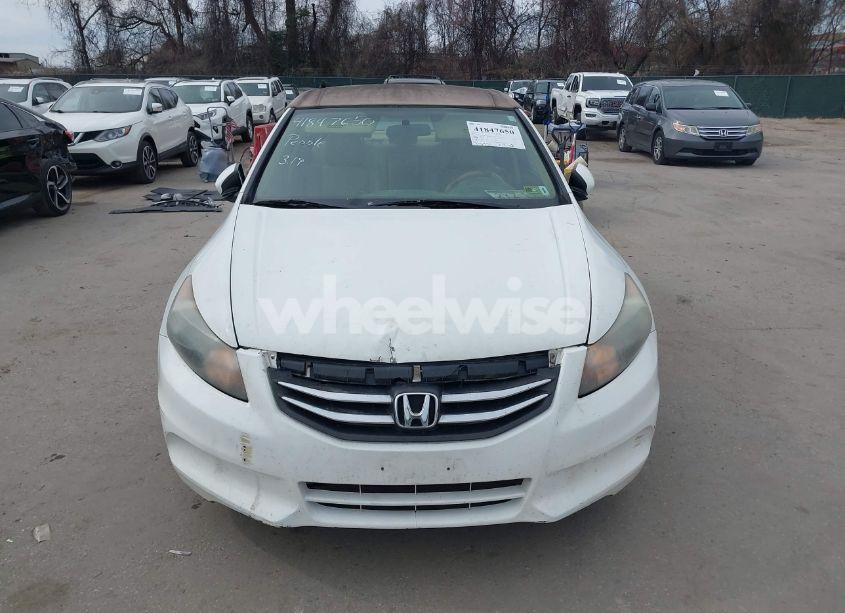 Photo 12 of 2011 Honda Accord 2.4 SE (VIN 1HGCP2F62BA103404)