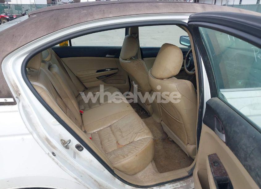 Photo 8 of 2011 Honda Accord 2.4 SE (VIN 1HGCP2F62BA103404)