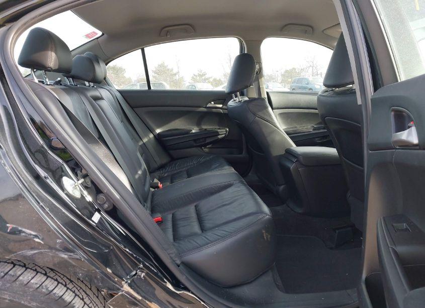 Photo 8 of 2011 Honda Accord 2.4 SE (VIN 1HGCP2F62BA132577)