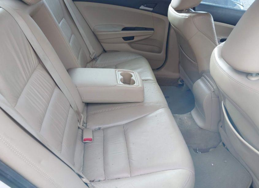 Photo 8 of 2012 Honda Accord 2.4 SE (VIN 1HGCP2F62CA077016)