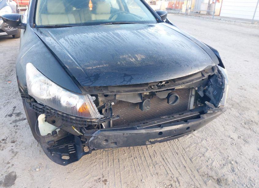 Photo 6 of 2012 Honda Accord 2.4 SE (VIN 1HGCP2F62CA114288)