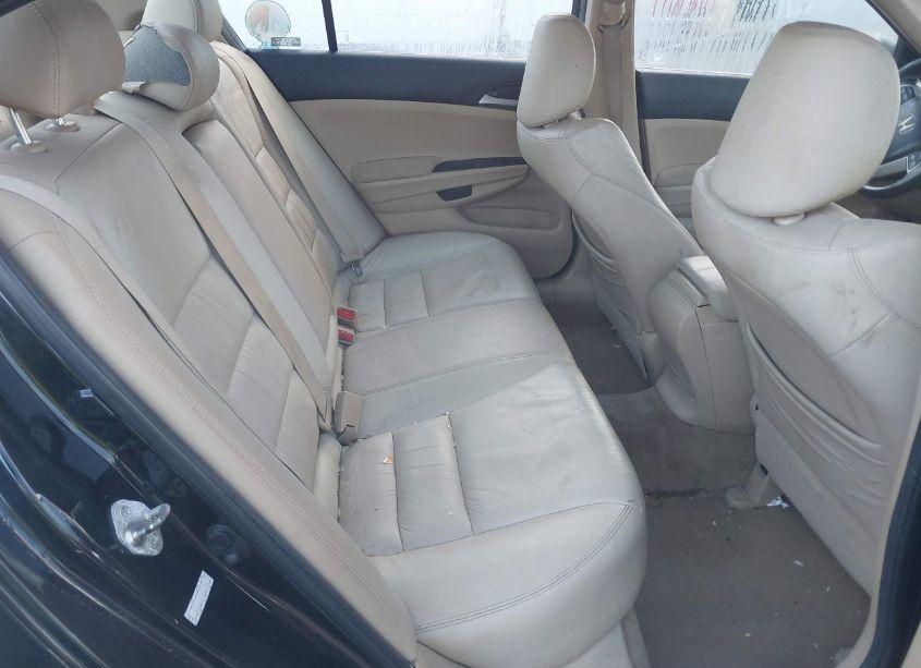 Photo 8 of 2012 Honda Accord 2.4 SE (VIN 1HGCP2F62CA114288)