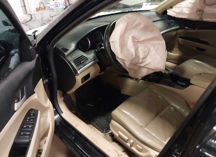 Photo 5 of 2011 Honda Accord 2.4 SE (VIN 1HGCP2F63BA104335)