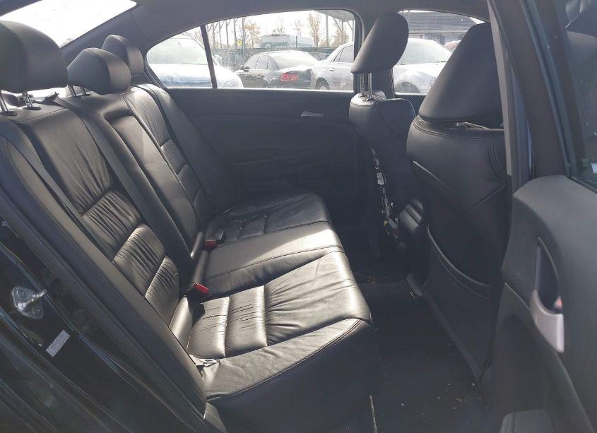 Photo 8 of 2011 Honda Accord 2.4 SE (VIN 1HGCP2F63BA110099)