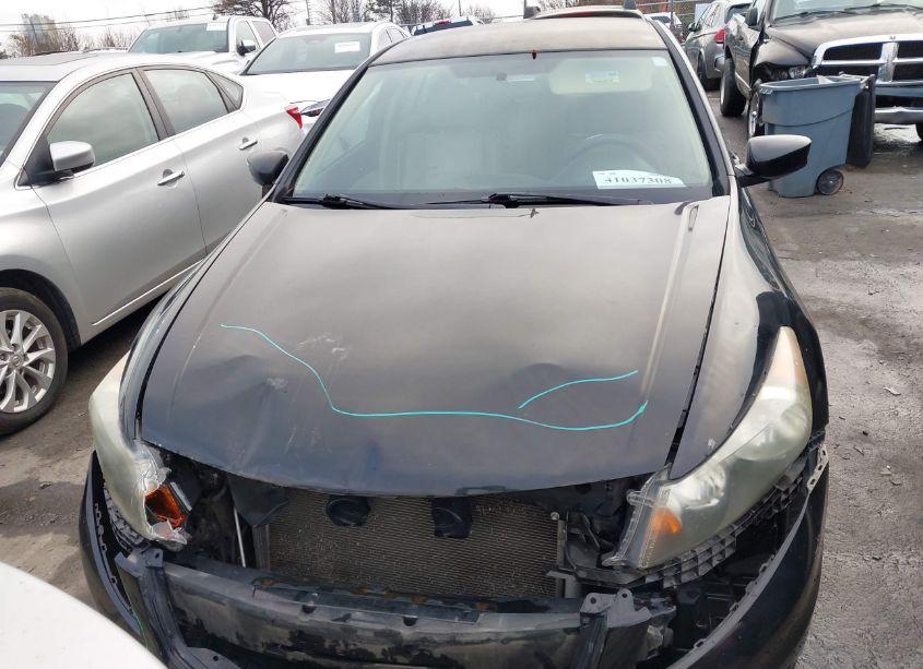 Photo 13 of 2012 Honda Accord 2.4 SE (VIN 1HGCP2F63CA073170)